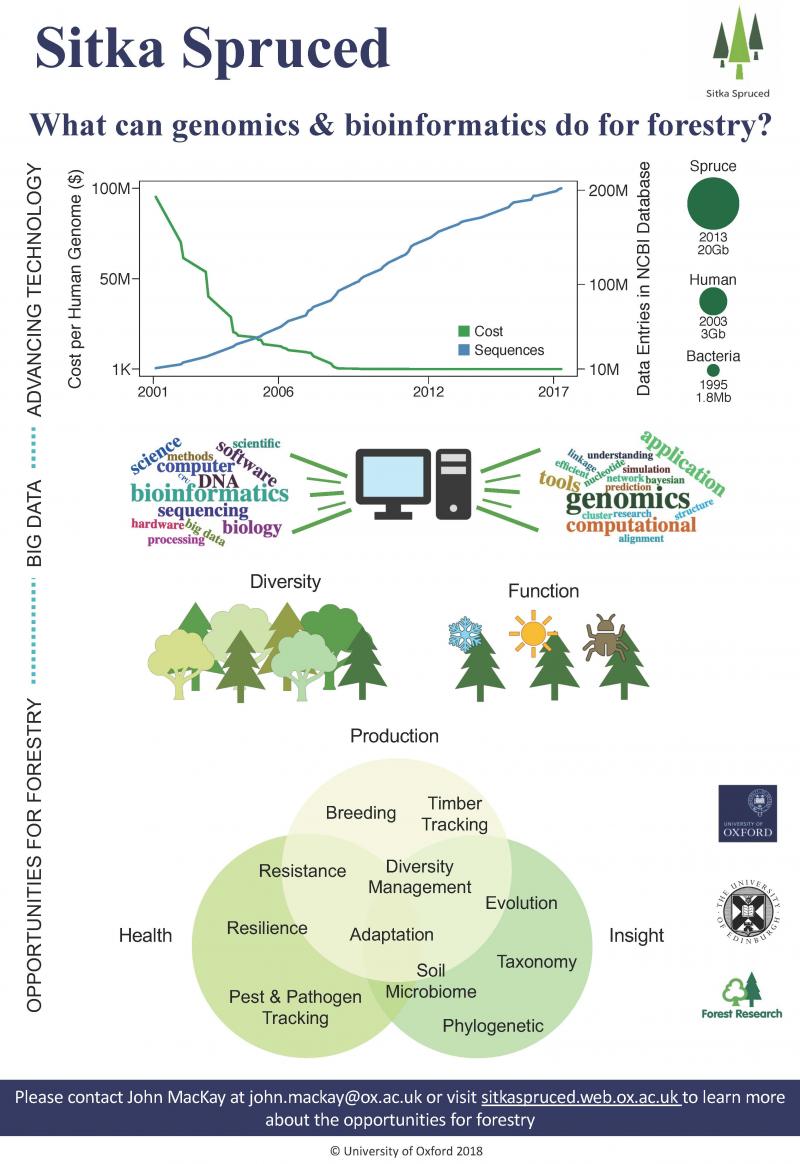 what can genomics and bioinformatics do for forestry